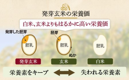 BS-376 発芽玄米 4kg(1kg×4袋)