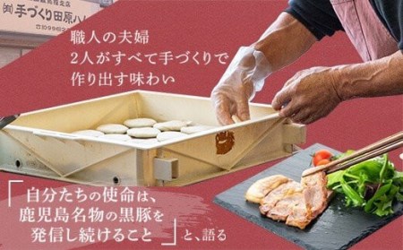 ZS-633 鹿児島県産黒豚バーガー 5個
