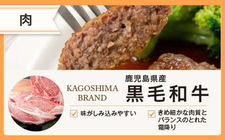 AS-2021 鹿児島県産 黒毛和牛ハンバーグ 計4個