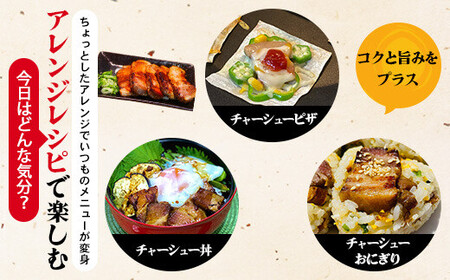 AS-111 【鹿児島】ラーメン宝島 監修 チャーシュー(2本)