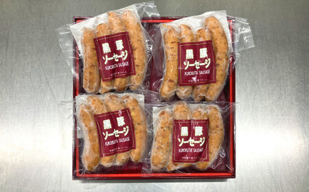 【ふるなびWEEK対象】 かごしま黒豚ソーセージ 約400g(約100g×4パック)　ZSF-733 FN-Limited-PR