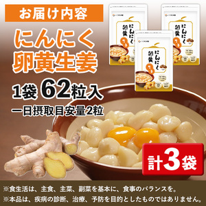 No.1028 てまひま にんにく卵黄生姜(62粒入×3袋・計186粒)鹿児島 日置市 ニンニク 健康食品 栄養 元気 カプセル 安全安心 生姜 サプリ【てまひま堂】