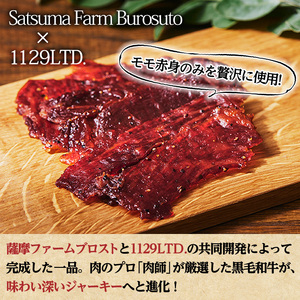 No.1054-B 鹿児島県産黒毛和牛モモ赤身!ビーフジャーキー(計10袋)国産 九州産 牛肉 黒毛和牛 和牛 おつまみ 肴 おやつ 間食 小分け セット【1129】