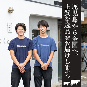 No.1054-B 鹿児島県産黒毛和牛モモ赤身!ビーフジャーキー(計10袋)国産 九州産 牛肉 黒毛和牛 和牛 おつまみ 肴 おやつ 間食 小分け セット【1129】