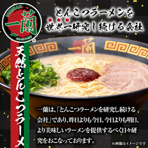 No.1099-B 一蘭ラーメンちぢれ麺(計20食・スープ付き) 麺 ラーメン 常温 常温保存 簡単 簡単調理 中華 お手軽 インスタント 本格 博多ラーメン 備蓄 保存食 仕送り 日置市限定 一蘭 ちぢれ麺【一蘭】