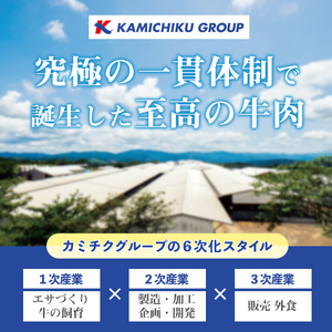 No.1100-A 自慢の自社ブランド牛「上村牛ユッケ」(7人前・40g×7P)国産 九州産 牛肉 黒毛和牛 和牛 ユッケ 生食 小分け 冷凍 ギフト 贈答 頒布会 定期便 数量限定【カミチク】