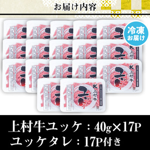 No.1100-C 自慢の自社ブランド牛「上村牛ユッケ」(17人前・40g×17P)国産 九州産 牛肉 生食 小分け 冷凍 ギフト 贈答 頒布会 定期便 数量限定 寄附額改定【カミチク】
