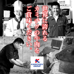 No.1100-C 自慢の自社ブランド牛「上村牛ユッケ」(17人前・40g×17P)国産 九州産 牛肉 生食 小分け 冷凍 ギフト 贈答 頒布会 定期便 数量限定 寄附額改定【カミチク】