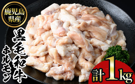 No.1105 鹿児島黒毛和牛ホルモン(500g×2P・計1kg) 国産 九州産 鹿児島県産 牛肉 黒毛和牛 和牛 お肉 おかず 焼き肉 ホルモン 小腸 冷凍【NBフード】