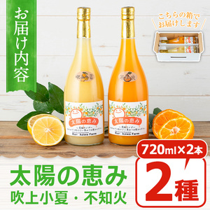 No.1119 ＜数量限定＞太陽の恵み 濃縮ジュース(2本セット) 不知火 日向夏 濃縮 ジュース 果物 果実 フルーツ 柑橘 みかん ミカン オレンジ ギフト 贈答 プレゼント 【黒川農園】