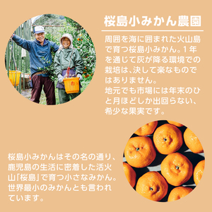 No.359-A 国産クラフトジン KOMASA GIN(45％)桜島小みかんセット(500ml×2本・計1000ml) 酒 スピリッツ 焼酎 常温保存【小正醸造】