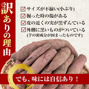 No.1123 ＜訳あり・規格外＞鹿児島県産熟成紅はるかの冷凍焼きいも(計4kg・800g×5袋) 国産 九州産 鹿児島県産 さつまいも サツマイモ さつま芋 紅はるか 訳アリ 訳あり 規格外 紅春香 芋 焼き芋 やきいも 野菜 スイーツ 冷凍【末永商店】