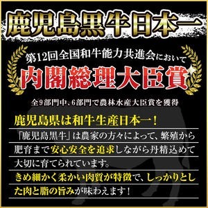 No.1127 (R-601) 鹿児島黒牛ウデスライスセット(300g×2P・計600g) 国産 九州産 牛肉 黒牛 黒毛和牛 和牛 ウデ スライス セット すき焼き 冷凍【さつま日置農協】