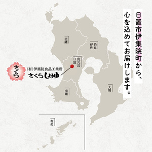 No.1137 さくら白だし(500ml×2本) 九州 鹿児島 だし 出汁 白だし 白出汁 調味料 ストレート 鰹ダシ 鰹だし 鰹 うどん だし巻き卵 煮物 おでん 鍋 さくらしょうゆ 鹿児島醤油 セット【伊集院食品工業所】