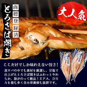 No.406-A 大きめ干物詰合せ＜合計2kg＞ 干物 セット 詰め合わせ ひもの 魚介類 魚 おかず おつまみ お楽しみ 【みのだ食品】