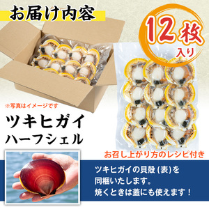 No.1143 活きた貝を急速凍結！吹上浜の月日貝(12枚) 貝 ツキヒガイ 月日貝 魚介 海鮮 魚貝類 冷凍 真空パック【吹上浜の未来を考える漁業者たち】