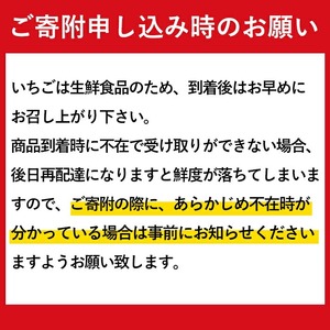 No.1162 ＜先行予約受付中！2025年1月中旬より順次発送予定！＞紅白いちごの食べ比べセット(計600g・300g×2トレー) 国産 九州産 鹿児島 日置市 生鮮食品 苺 イチゴ 白苺 赤苺 果物 くだもの フルーツ 大粒 食べ比べ 詰め合わせ パック 【ままりあ農園】