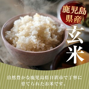 日置市産 玄米 ヒノヒカリ( 5kg ) 玄米 訳アリ 訳あり ご飯 ごはん 【末永商店】No.930-A 