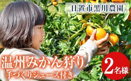 No.1251 <先行予約受付中>温州みかん狩り(2名分)&人気のジュース付き(2本)不知火 みかん狩り 体験 日置市 果物 果実 フルーツ 柑橘 みかん ミカン ジュース ミカンジュース 期間限定【黒川農園】