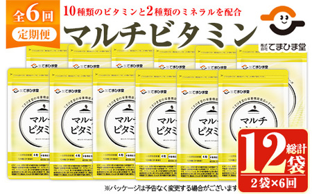 No.1279-B ＜定期便・全6回(隔月)＞マルチビタミン(2袋×6回・計12袋) 鹿児島 日置市 健康食品 サプリ 栄養バランス 食生活 安心安全 野菜不足 好き嫌い 豊富な栄養素 マルチビタミン ミネラル 亜鉛 マグネシウム 【てまひま堂】