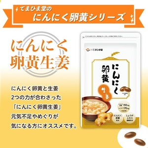 No.1285-A てまひま にんにく卵黄生姜(1袋 62粒入り・2袋×3回) 鹿児島 日置市 ニンニク 健康食品 栄養 元気 カプセル 安全安心 生姜 サプリ サプリメント 定期便 頒布会 【てまひま堂】