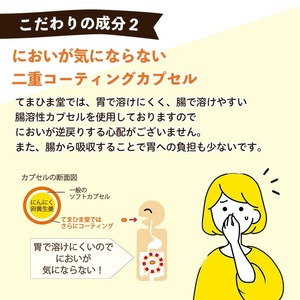 No.1285-A てまひま にんにく卵黄生姜(1袋 62粒入り・2袋×3回) 鹿児島 日置市 ニンニク 健康食品 栄養 元気 カプセル 安全安心 生姜 サプリ サプリメント 定期便 頒布会 【てまひま堂】