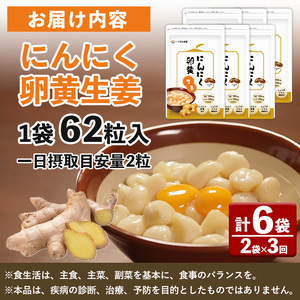 No.1285-A てまひま にんにく卵黄生姜(1袋 62粒入り・2袋×3回) 鹿児島 日置市 ニンニク 健康食品 栄養 元気 カプセル 安全安心 生姜 サプリ サプリメント 定期便 頒布会 【てまひま堂】