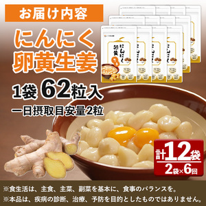 No.1285-B てまひま にんにく卵黄生姜(1袋 62粒入り・2袋×6回)  鹿児島 日置市 ニンニク 健康食品 栄養 元気 カプセル 安全安心 生姜 サプリ サプリメント 定期便 頒布会 【てまひま堂】