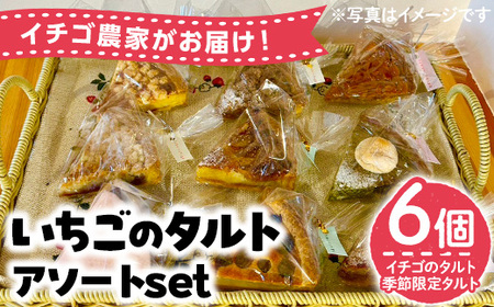No.1316 いちごのタルトアソートセット(6種) 国産 スイーツ ケーキ タルト デザート いちご イチゴ 苺 菓子 お菓子 冷凍 ご褒美 プチ贅沢 ギフト 贈答品 ホワイトデー【tubu-ichigo】