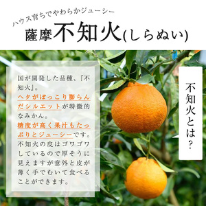 No.146 ＜先行予約受付中！2026年1月中旬～2月下旬までの間に発送＞《期間・数量限定》鹿児島県産！薩摩不知火(3kg) みかん ミカン 蜜柑 不知火 しらぬい さつま 柑橘 フルーツ 青果 果実 鹿児島 国産 九州産 ギフト 贈答【黒川農園】
