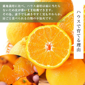 No.146 ＜先行予約受付中！2026年1月中旬～2月下旬までの間に発送＞《期間・数量限定》鹿児島県産！薩摩不知火(3kg) みかん ミカン 蜜柑 不知火 しらぬい さつま 柑橘 フルーツ 青果 果実 鹿児島 国産 九州産 ギフト 贈答【黒川農園】