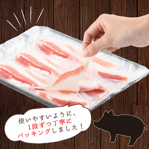 No.157 鹿児島県産黒豚ロース・バラ肉スライスセット(合計約1kg)豚肉 黒豚 国産 九州産 国産豚 スライス ロース肉 バラ肉 しゃぶしゃぶ セット 詰合せ 詰め合わせ 小分け 冷凍【arumei】