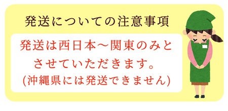 No.209 ＜11月中旬までの期間限定！＞鹿児島県産の天然活伊勢海老(約1kg) 国産 九州産 鹿児島県産 エビ えび 海老 伊勢えび 伊勢エビ 天然 おかず おつまみ みそ汁 味噌汁 刺身 旬 数量限定 期間限定 【家むら】