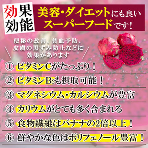 No.248 《数量・期間限定》鹿児島県産！ドラゴンフルーツ(1.2kg・3個～6個) 国産 鹿児島 日置市 産地直送 スイーツ デザート 果実 果物 くだもの フルーツ 栽培期間中 農薬不使用 無農薬 贈り物 贈答品【はまうえ果樹園】