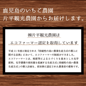 No.299 手造りイチゴジャム(約200g×6本) 国産 九州産 鹿児島県産 いちご イチゴ 苺 ジャム フルーツ 果物 手作り 手造り 調味料 小分け 贈答 プレゼント 着色料無添加 保存料無添加【片平観光農園】