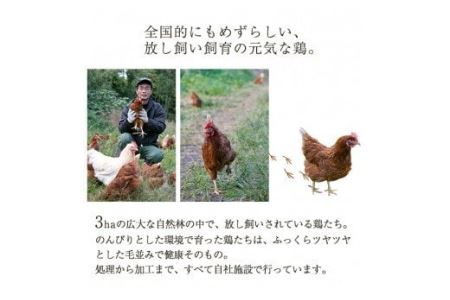 No.400 自家農園の鳥刺しとこだわり鶏料理詰め合わせ(計3点・鹿児島産鶏肉の刺身、鶏飯、鶏釜めしの素)【美山たまご王国】