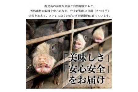 No.401 鹿児島県産黒豚肉使用！黒豚ロース味噌漬け(合計560g・80g×7袋)国産 九州産 黒豚 豚肉 ロース 味噌漬け 味付き 焼くだけ 惣菜 おかず 弁当 小分け 冷蔵【コワダヤ】