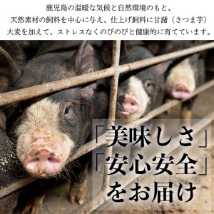 No.402 鹿児島県産黒豚肉使用！黒豚ロース味噌漬けと炭焼き焼豚詰め合わせ(合計420g)国産 九州産 黒豚 豚肉 ロース 味噌漬け 焼き豚 焼豚 味付き 焼くだけ 惣菜 おかず 弁当 小分け 冷蔵 小分け 食べ比べ セット【コワダヤ】