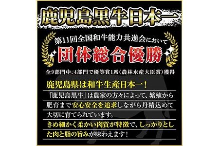 No.474 (C-801)鹿児島黒豚ロースとんかつセット(300g×3P・計900g)国産 九州産 黒豚 豚肉 ロース とんかつ 冷凍 【さつま日置農協】