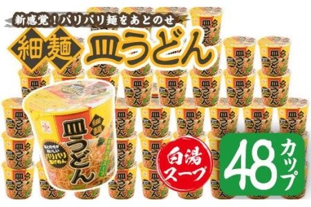 No.519 お好みで食べ方選べる♪カップ皿うどん(41.3g×48個)国産 九州産 鹿児島 日置市 特産品 特産 麺 めん 麺類 インスタント カップ麺 乾麺 ギフト 贈り物 贈答用 簡単調理【ヒガシマル】