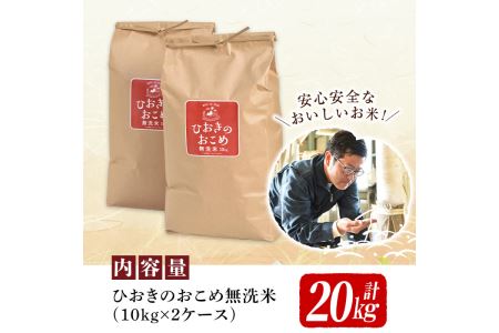 No.599 国産！鹿児島県産ひおきのおこめ無洗米20kg(10kg×2)【正留産業