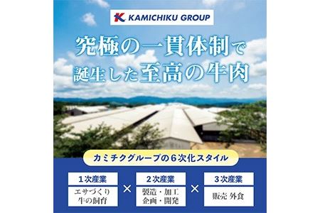 No.612 ＜訳あり・不揃い＞国産黒毛和牛切落し焼肉用(計900g・300g×3P)牛肉 切落し 切り落し 和牛 冷凍 国産 九州産 小分け 国産牛 お肉 焼き肉 焼肉 訳あり 訳アリ 冷凍【カミチク】