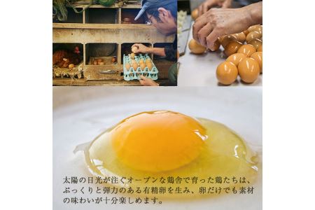 No.758 鹿児島の伝統料理、鶏飯6袋セット(250g×6袋・計1.5kg)【美山たまご王国】