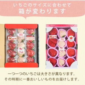 No.778 ＜先行予約受付中！＞3品種いちごの食べ比べセット(約400g