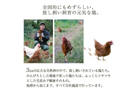 No.782 鹿児島県産有精卵(計40個・10個入×4P)放し飼い鶏のたまご！【美山たまご王国】