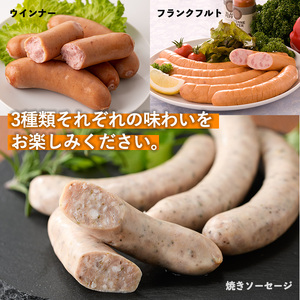 No.792 鹿児島県産！黒豚ソーセージ3種(合計約2.4kg)国産 九州産 黒豚 豚肉 ウインナー ソーセージ フランクフルト 惣菜 おかず 弁当 BBQ キャンプ 小分け 食べ比べ セット冷凍【コワダヤ】