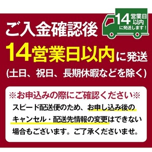 No.818 ＜数量限定＞天使の誘惑2本セット(720ml×2本)西酒造の秘蔵酒