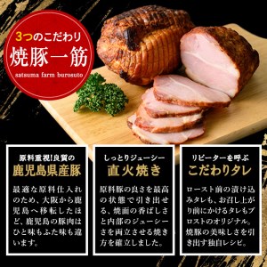 No.876 ＜定期便・全3回(隔月)＞鹿児島県産の焼豚大ブロック(計1kg・約500g×2本×3回)国産 九州産 焼豚 叉焼 チャーシュー ラーメン 具材 お中元 お歳暮 ギフト 贈答 詰め合わせ 豚肉 タレ おかず おつまみ 頒布会 人気【薩摩ファームブロスト】