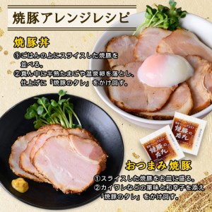 No.876 ＜定期便・全3回(隔月)＞鹿児島県産の焼豚大ブロック(計1kg・約500g×2本×3回)国産 九州産 焼豚 叉焼 チャーシュー ラーメン 具材 お中元 お歳暮 ギフト 贈答 詰め合わせ 豚肉 タレ おかず おつまみ 頒布会 人気【薩摩ファームブロスト】