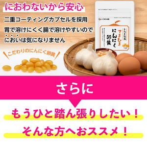 No.899 活力セット(てまひま にんにく卵黄×3袋・ビタミンB群×3袋)鹿児島 日置市 ニンニク 健康食品 加工食品 栄養 元気 有精卵 カプセル 手軽に 安全安心【てまひま堂】